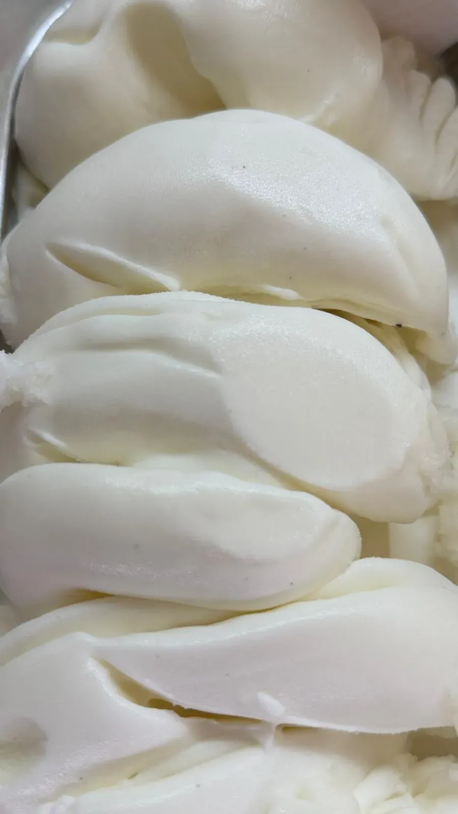 Yogurt Sugar Free